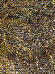 MISSONI - Gonne - DS26WH09BC006S