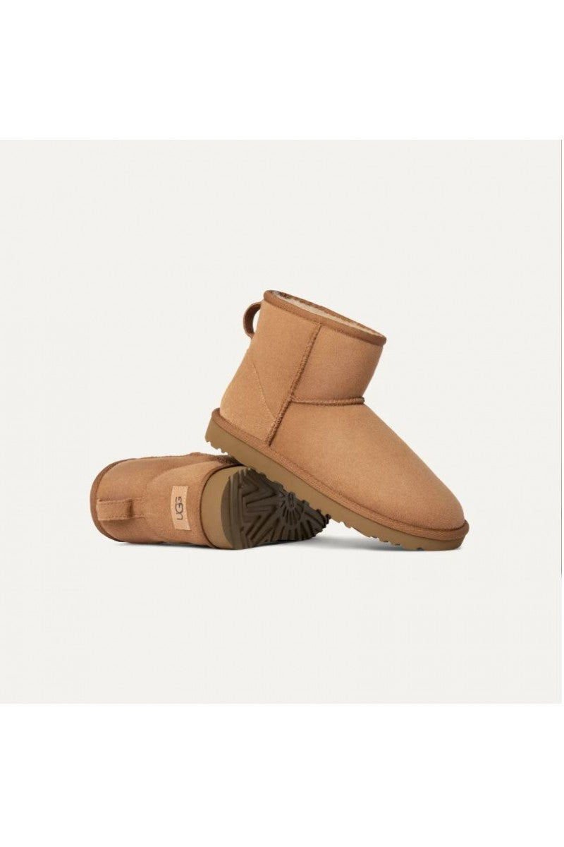 Ugg  Beige
