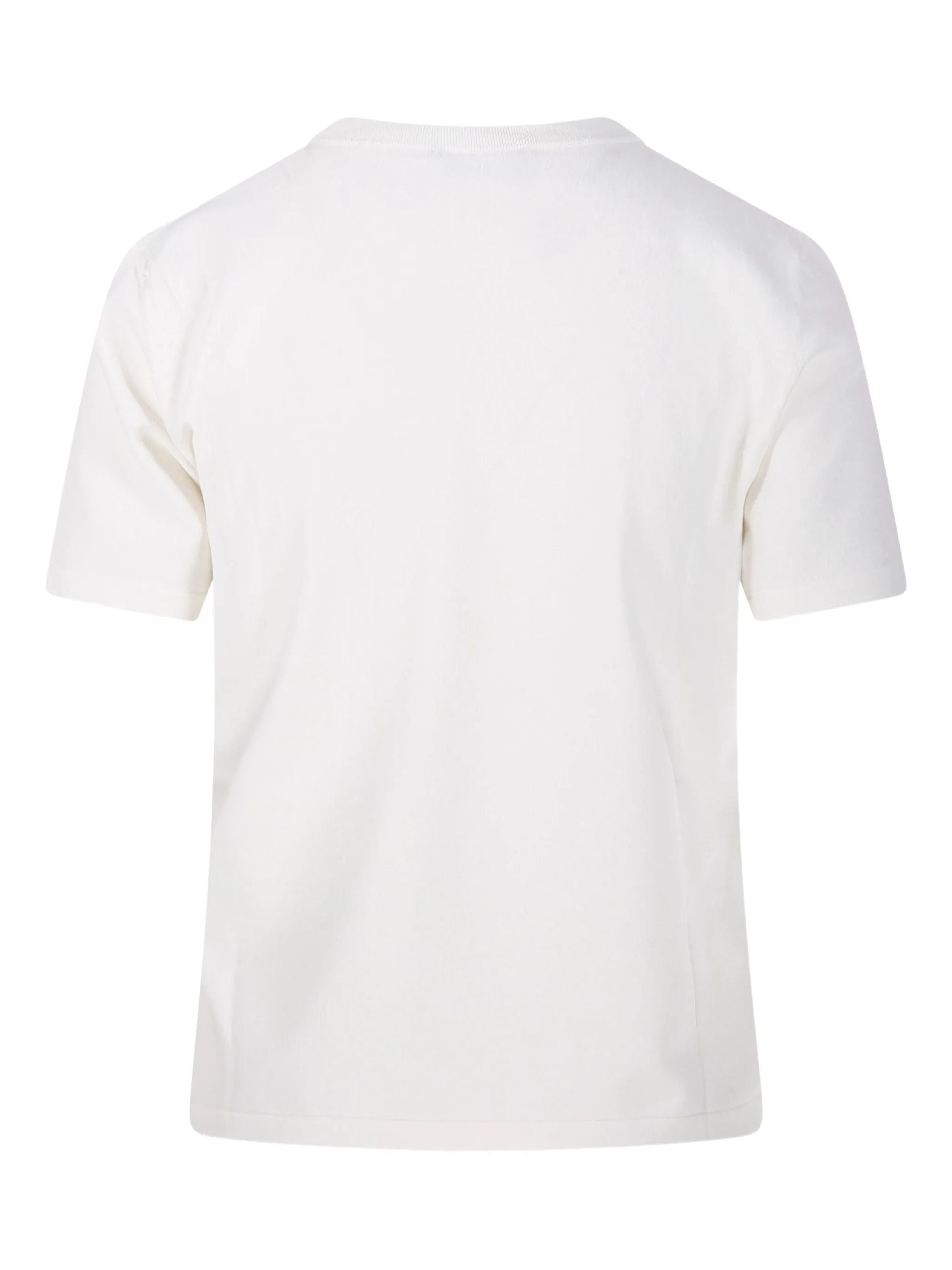 ROBERTO COLLINA - T-Shirt - B31021