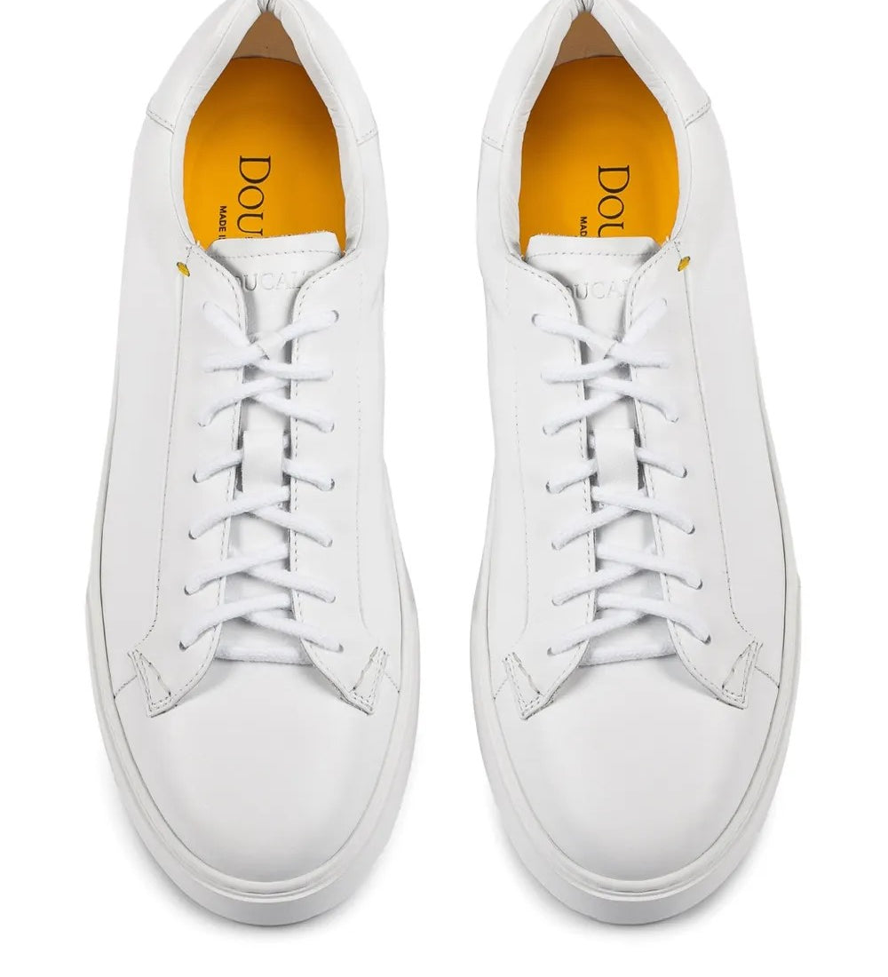 Doucal's  Bianco