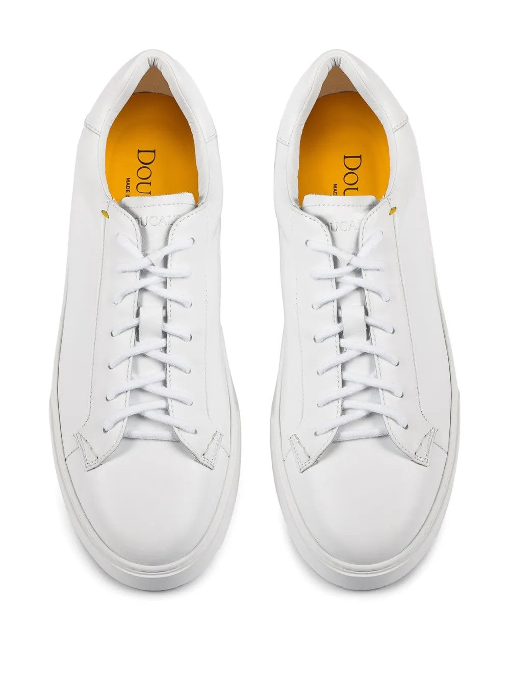 Doucal's  Bianco