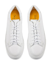 Doucal's  Bianco