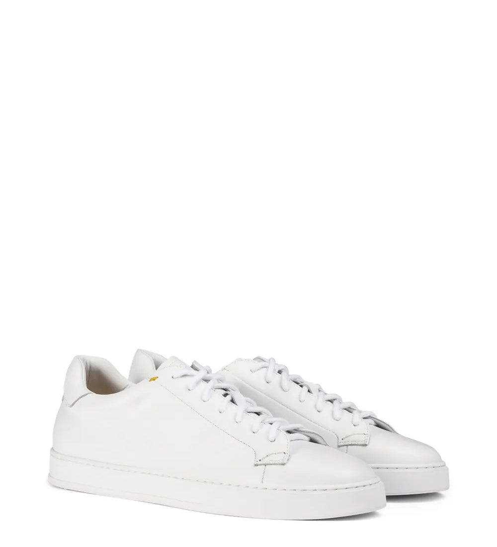 Doucal's  Bianco
