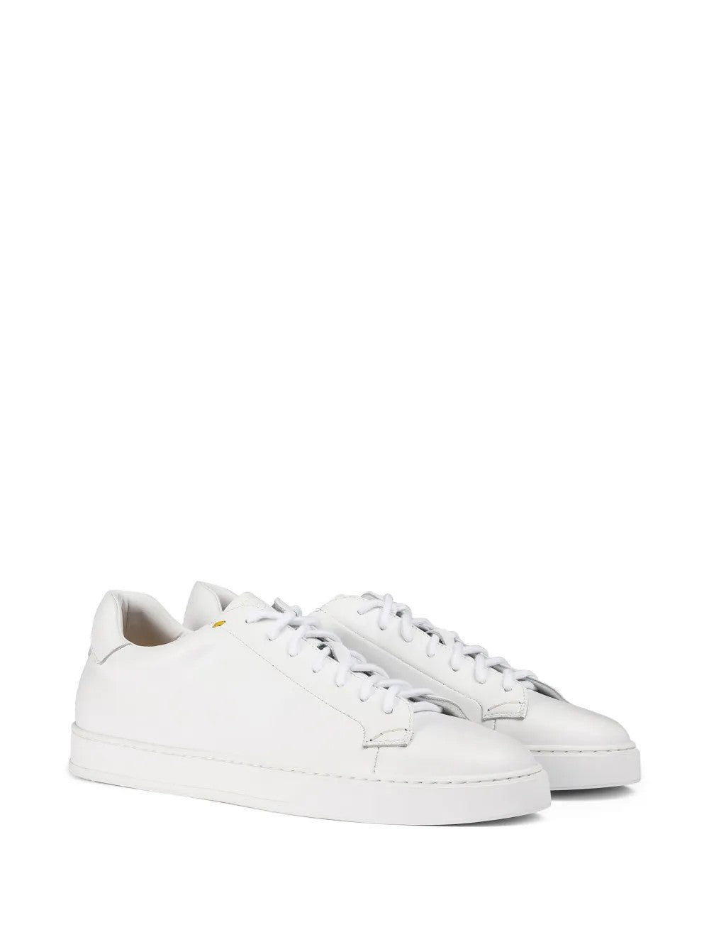 Doucal's  Bianco