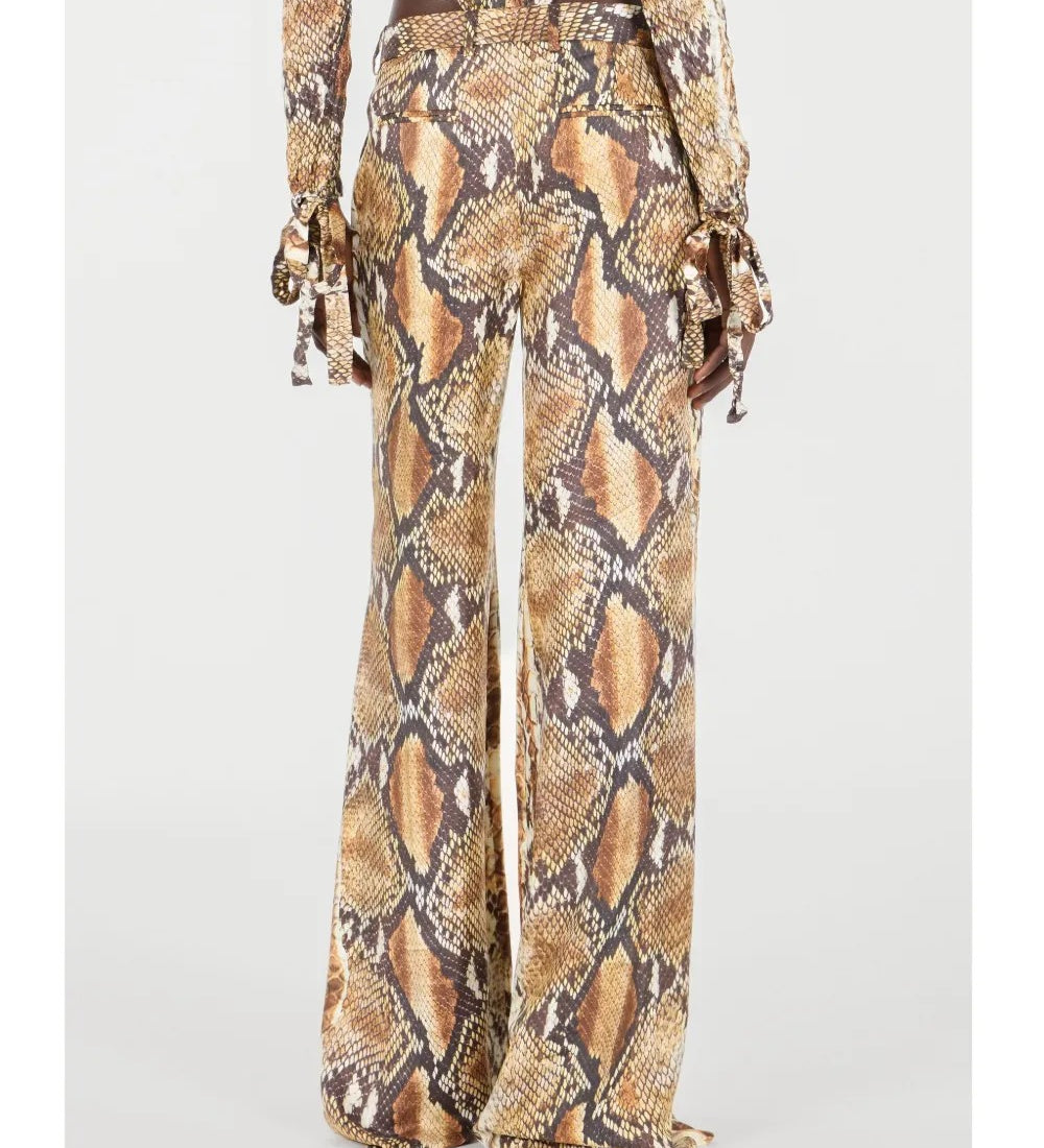 Roberto Cavalli  Marrone