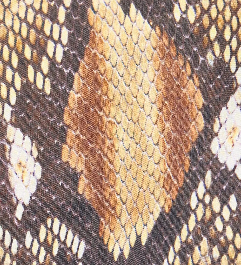 Roberto Cavalli  Marrone