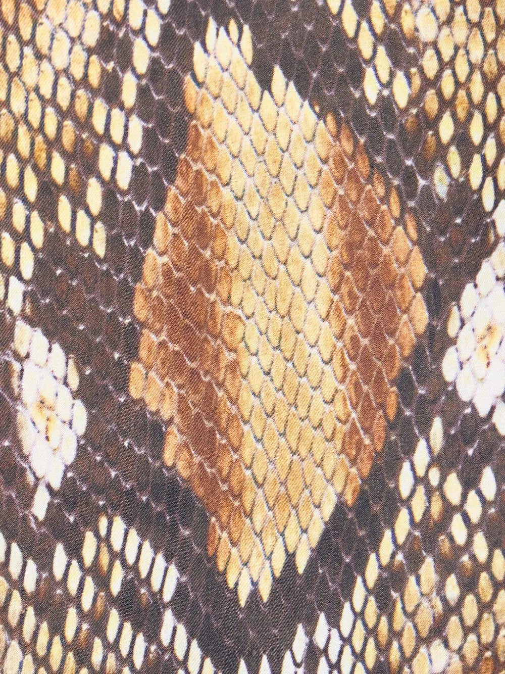 Roberto Cavalli  Marrone